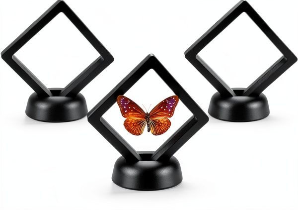 3D Floating Coin Display Case Enenes 5 Pack Frame with Black Stands-0